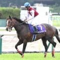 【スワンＳ・松ケ下の特注馬】本領発揮へ　距離実績＆復調気配感じるスズハロームが穴候補か
