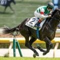 【サウジアラビアRC想定騎手】フィリオソラーレはC.ルメール騎手、デミアンは斎藤新騎手