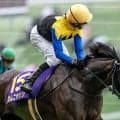 【アイルランドT想定騎手】カムニャックは川田将雅騎手、クイーンズウォークは西村淳也騎手