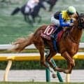 【スワンS想定騎手】ダイヤモンドノットは横山武史騎手、ウインマーベルは松山弘平騎手