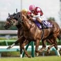 【先週のJRA抹消馬】スプリンターズS覇者ウインカーネリアン、ママコチャなど