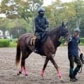 【サウジアラビアＲＣ】奥がありそうなベルウッドディープに注目　室井調教師「追い出してからの瞬発力がある」