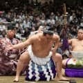 豊昇龍、秋巡業に途中合流の可能性「病院の結果次第で問題なかったら」土俵入りも披露