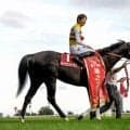 セイウンハーデスが毎日王冠を制し重賞3勝目 「ニジンスキーのクロス」を持つシルバーステート産駒は活躍する傾向
