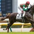 【サウジアラビアRC展望】好走条件を満たすベルウッドディープに注目