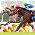 【競走伝】“世界のＹＡＨＡＧＩ”はここから始まった　１８度目の挑戦でつかんだ「特別」な馬での重賞初Ｖ　０７年スワンＳ