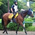 【アイルランドＴ】カネラフィーナは前走の競馬を糧に巻き返す　手塚久調教師「１６００メートルは明らかに短かった」