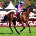 【凱旋門賞】「勇敢な日本のサムライたちが…」夢敗れた日本馬へフランスギャロが温かいメッセージ…日本人を撮影した“まとめ動画”も素敵