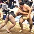 高安、地元から始まった秋巡業へ「体調だけは崩さないように。コツコツやっていきたい」