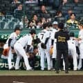 【阪神】リーグ連覇で甲子園凱旋　岩貞祐太の引退試合　佐藤輝明２年連続40発なるか／スタメン