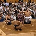 大の里が秋巡業に参加　秋場所優勝し１週間の休みの間にサッカー日本代表を現地観戦、刺激受ける