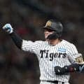 阪神　梅野が約２カ月ぶりの出場で左前打
