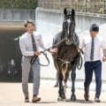 【サウジアラビアRC予想オッズ】フィリオソラーレが予想1番人気