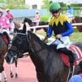 【アイルランドT予想オッズ】カムニャックが予想1番人気