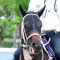 【レディスプレリュード】まさか…単勝１・４倍のダブルハートボンドは初めて馬券圏外　４着に終わり秋初戦でＶ発進を決められず