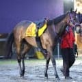 【アイルランドＴ】ジョスランが兄の活躍を追い風に重賞２勝目へ　鹿戸調教師「いい競馬をしないと先には進めないので」