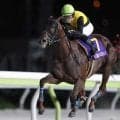【大井・レディスプレリュード結果】メモリアカフェが差し切ってDG競走3連勝を飾る