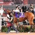 【レディスプレリュード】田口貫太騎手は重賞連勝ならずも果敢に逃げて２着　レイナデアルシーラに「力はつけていると感じます」