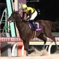 【大井競馬】レディスプレリュードの売得金は前年比１１２・６％の１２億円超　メモリアカフェが豪快差し切り