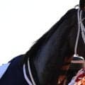 【大井・レディスプレリュード】断然人気ダブルハートボンドは伸び切れず4着…秋初戦飾れず
