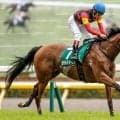 【アイルランドT展望】セキトバイーストが重賞3勝目を狙う