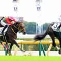 【注目馬動向】リバティアイランドの半弟ダノンダックスは東京スポーツ杯２歳Ｓへ　田中博調教師「２回走って課題も...」
