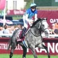 【注目馬動向】凱旋門賞の雪辱を期すアドマイヤテラ　有馬記念参戦を視野に友道調教師「状態面次第にはなりますが…」