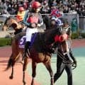 ２２年南部杯２着のヘリオスが１０歳で死す　調教中に急性心不全を発症