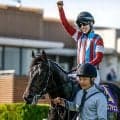 【菊花賞想定】ロブチェン、ダノンヒストリーなど19頭