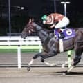 セリで５００万円の格安馬→無敗３冠の“怪物”へ！ドラマチックすぎる競走人生を終えたミックファイア…大井で引退セレモニー