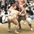 神奈川出身の湘南乃海　「中学の体育の先生も来てくれた」ご当所の秋巡業で９番、十両落ち確実の九州場所で巻き返し誓う
