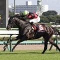 ２４年紫苑ＳをレコードＶのクリスマスパレードが登録抹消　繁殖牝馬になる予定も繋養先は未定