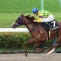 【注目馬動向】マーゴットゲインは霜月Ｓへ　メリークリスマスはシトリンＳに向かう