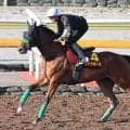 【秋華賞・１週前】桜花賞２着馬ギャラボーグは活気ある動き　杉山晴調教師「春先と比べても…」