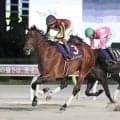 【ＪＤクラシック】シルバーレシオが３歳ダート３冠最終戦を制覇　東京ダービーの雪辱を果たす