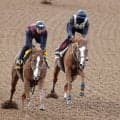 【秋華賞・１週前】サムシングスイートが軽快な動き　伊藤大師は根性を評価「馬にとって狭いところは…」