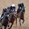 【秋華賞・１週前】マスターソアラは約半馬身遅れも軽快な動きを披露　蛯名正調教師「動きの質や中身は上がっている」