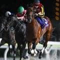 【大井・ジャパンダートクラシック結果】シルバーレシオが差し切ってJpnI初制覇