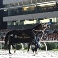 ３冠馬ミックファイアが思い出の大井競馬場で引退式　星加オーナー「チームミックの団結は固い」ファンに最後のあいさつ　