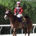まさかの失速…　ホリエモン愛馬のイッテラッシャイは大差の最下位１６着　戸崎圭太騎手「向こう正面から息が…」　ＪＤクラシック