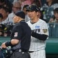 【阪神】セ５球団に勝ち越し「完全優勝」決定　藤川監督は冷静「ということは、来年大変だぞと」