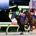 【ジャパンダートクラシック】フィンガー三冠ならず9着…坂井瑠星「何がなんでもハナ」譲らぬ逃げも最後は失速