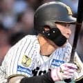阪神　今季最終戦へ福島が１軍に昇格の見込み　フェニックスＬから帰阪　２軍には石黒が合流