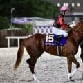 【ジャパンダートクラシック】ホリエモン、愛馬最下位で馬券購入のファンへ謝罪「すいませんでした！また次頑張ります！」
