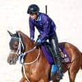 【注目馬動向】ジュウリョクピエロは完全に体調回復　エリザベス女王杯へ寺島調教師「聖奈には１週前から乗ってもらいます」
