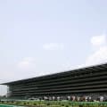 【アイルランドT出走馬・騎手確定】カムニャック＆川田将雅騎手、クイーンズウォーク＆西村淳也騎手など16頭