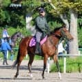【ＰＯＧ】母はＧ１・３勝のストレイトガール　キセキノアスクが初陣Ｖへ　手塚徳調教師「長い目で見ればいい馬」