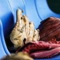 午後1時…大物左腕の退団発表「えーびっくり」　タイミングに騒然…ファン推測「引っこ抜いた？」
