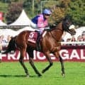 メイショウタバルは次走ジャパンＣか有馬記念へ　栗東トレセンで石橋調教師が明かす