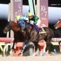 【東京盃】地元大井のゼーロスが古馬と初対戦でダートグレード競走初制覇　追って追って差し切った！笹川翼騎手「最後は底力」
